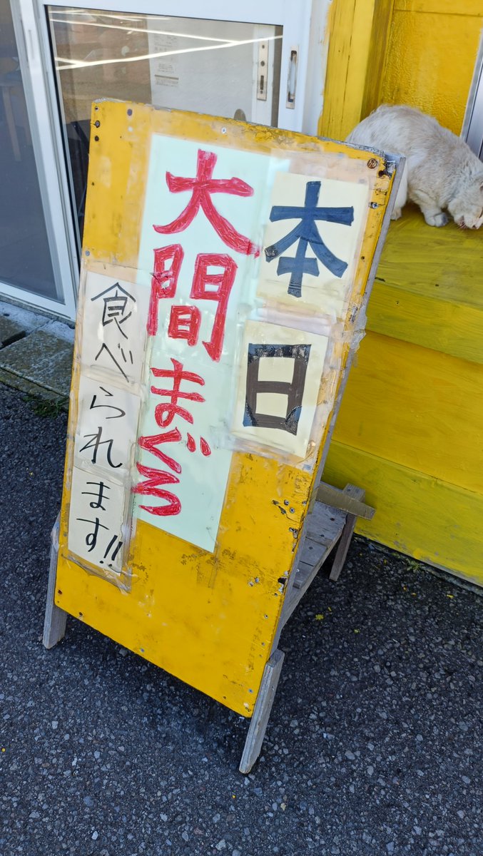 sippo_111's tweet photo. この店にする。大間のまぐろを食らう猫もいた https://t.co/FcN8PZ6625