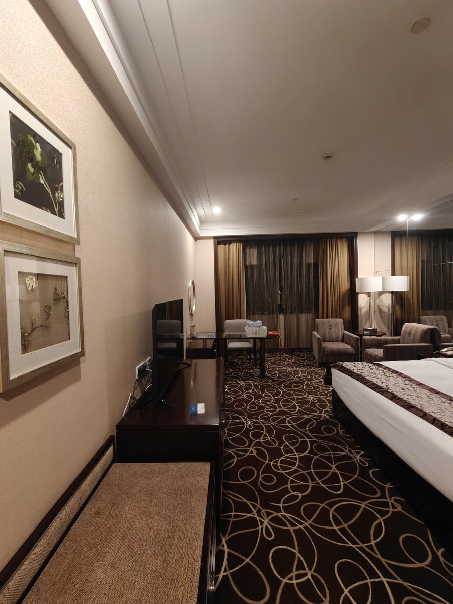 DS_Carpet1998's tweet photo. Wool Axminster carpet for hotel guest room — from factory production to final installation.
Custom patterns, colors ， specifications are available to match different hotel projects.
Manufactured by Dongsheng Carpet
#AxminsterCarpet #HotelCarpet #WoolCarpet #CarpetManufacturer https://t.co/lzHMxNACIo