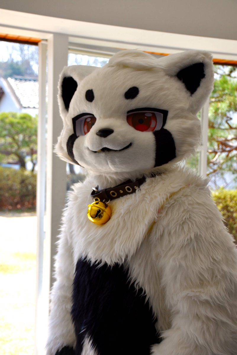 heugya544438's tweet photo. #FursuitEveryday 
?나 불렀어?? https://t.co/sWewCOcOPk