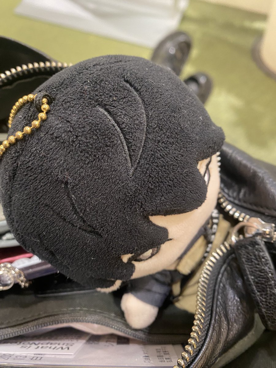 hokunui_camera's tweet photo. #ほくぬいとカメラ
#ほくぬい　#ストぬい

今日も病院、お付き合いありがとね🕊️ https://t.co/apSUQapA3o
