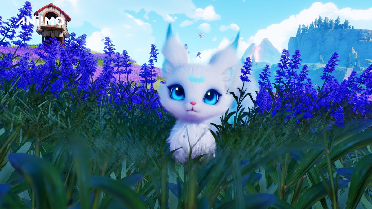 MsYaniG's tweet photo. Bloomville is so vibrant! ๐
Can't not do some #virtualphotography ๐ธ
Let's be friends there: 202000134377
Name's HANNA ๐
@Aniimo_EN
#Aniimo #AniimoGlobal #gaming https://t.co/eYYWXAZqmA