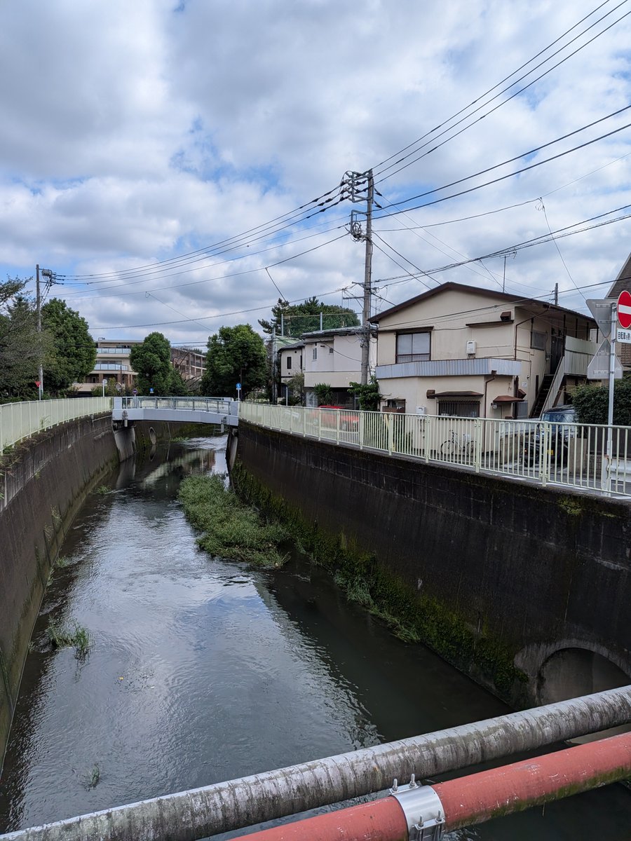 inokashira0805's tweet photo. 仕事の休憩中に川沿いを散歩🚶
気分転換に最適な時間を過ごせて小さな幸福感のひととき😊

金木犀の香りに漂いながら彼岸花も咲いていてより秋らしさを吸収出来たのが満足😆 https://t.co/7TnKJCANuj