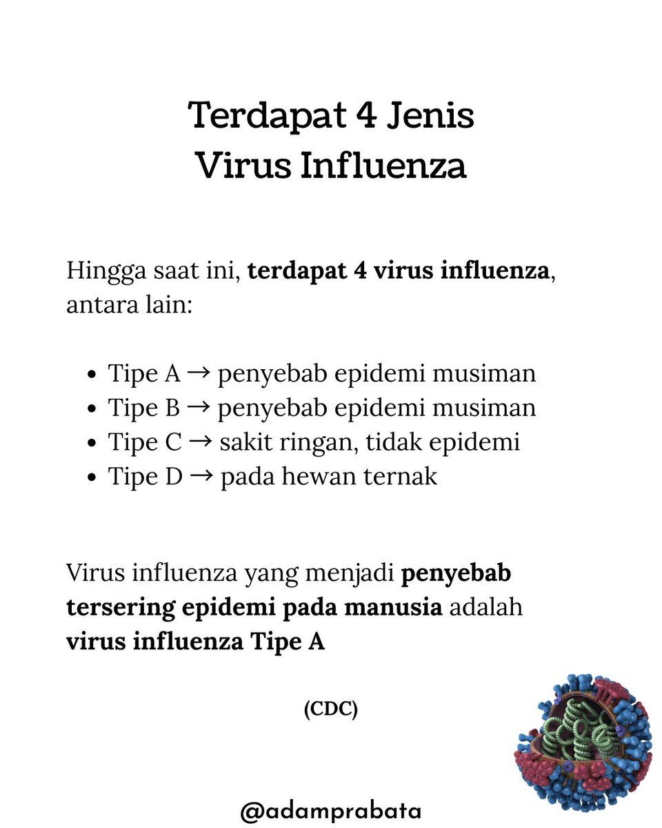 AdamPrabata's tweet photo. Kasus Influenza A sedang meningkat kasusnya di beberapa kota di Indonesia. Apa saja yang perlu kita ketahui mengenai penyakit Influenza A?

Hingga saat ini, terdapat 4 virus influenza, antara lain:
-Tipe A → penyebab epidemi musiman 
-Tipe B → penyebab epidemi musiman 
-Tipe C → sakit ringan, tidak epidemi 
-Tipe D → pada hewan ternak

Virus influenza yang menjadi penyebab tersering epidemi pada manusia adalah virus influenza Tipe A.

Derajat keparahan Influenza A bervariasi, antara lain:
-Tidak bergejala
-Gejala ringan
-Gejala sedang
-Gejala berat hingga butuh rawat inap, bahkan perawatan di ruang intensif

Orang dengan Influenza A memiliki periode paling berisiko menularkan ke orang lain pada Hari ke-1 hingga ke-3 Bergejala.

Periode inkubasi (waktu sejak tertular hingga muncul gejala) pada orang dengan Influenza A berada dalam rentang 1 hingga 4 Hari

Influenza A menular melalui droplet, airborne, serta permukaan yang terkena cipratan droplet.

Influenza A dapat dicegah dengan menggunakan masker, menjaga etika batuk, mencuci tangan, dan menjaga jarak dengan orang yang sedang sakit.

Semoga bermanfaat!
