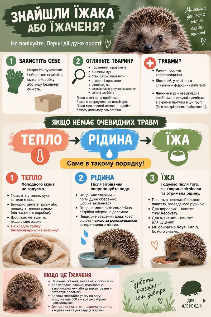 maaret771373's tweet photo. ‼️ПЕРША ДОПОМОГА ЇЖАЧКАМ‼️ https://t.co/K8UZnw6APn