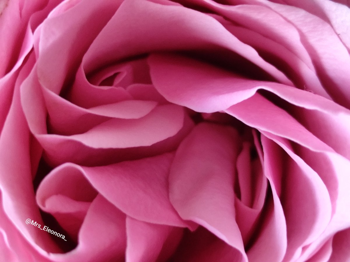 Mrs_Eleonora_'s tweet photo. “Liefde kan alleen maar werken als je elkaar vrijlaat, maar nooit loslaat.”
#loveLessons #EigenFoto #EigenQuote https://t.co/xp5eTdDr3a