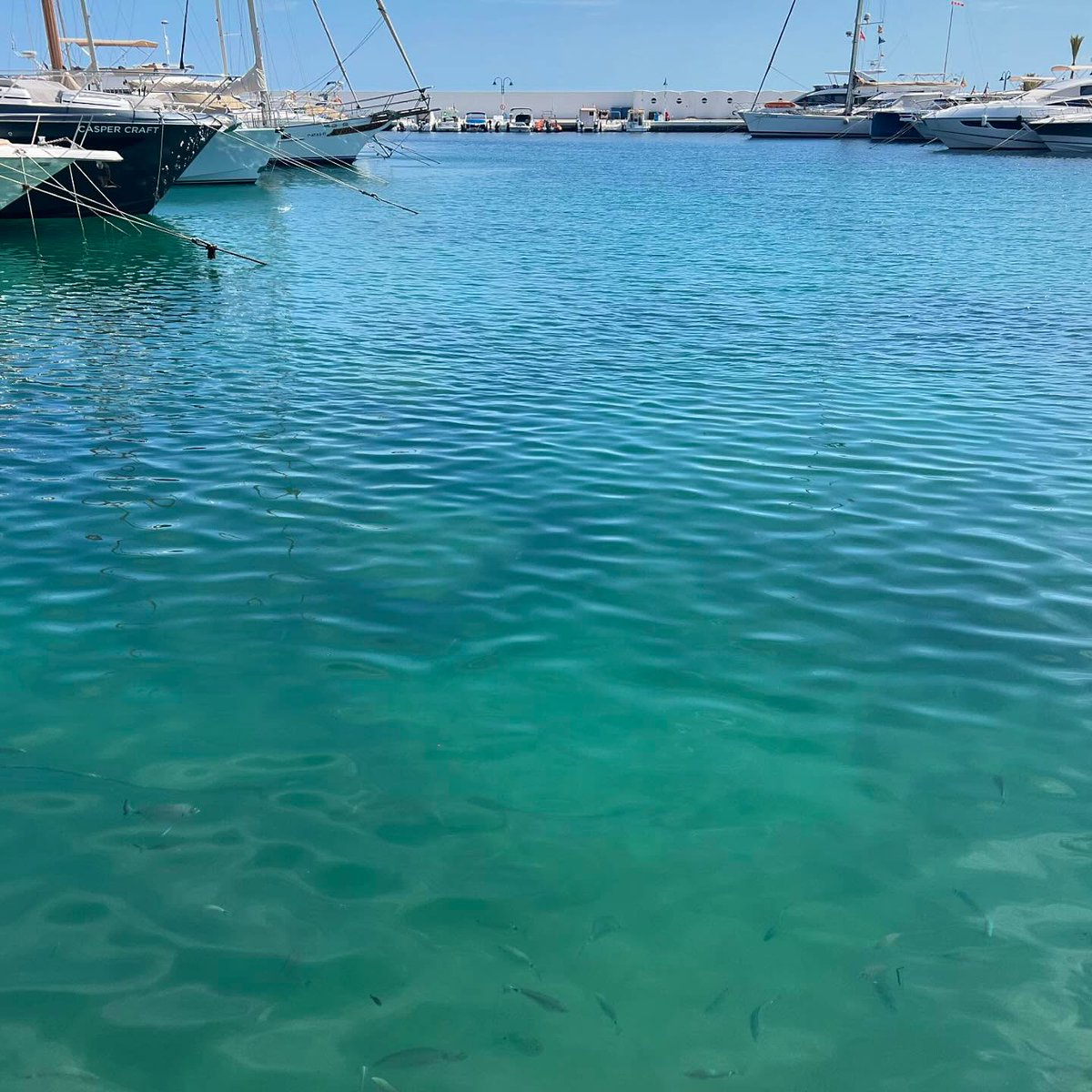 ShantaEnlow's tweet photo. Un empujoncito y ves los peces de cerca… 😃
Que tengáis un precioso día aunque sea sin mí… 😄✨🤍 https://t.co/MLMNfi2VZt