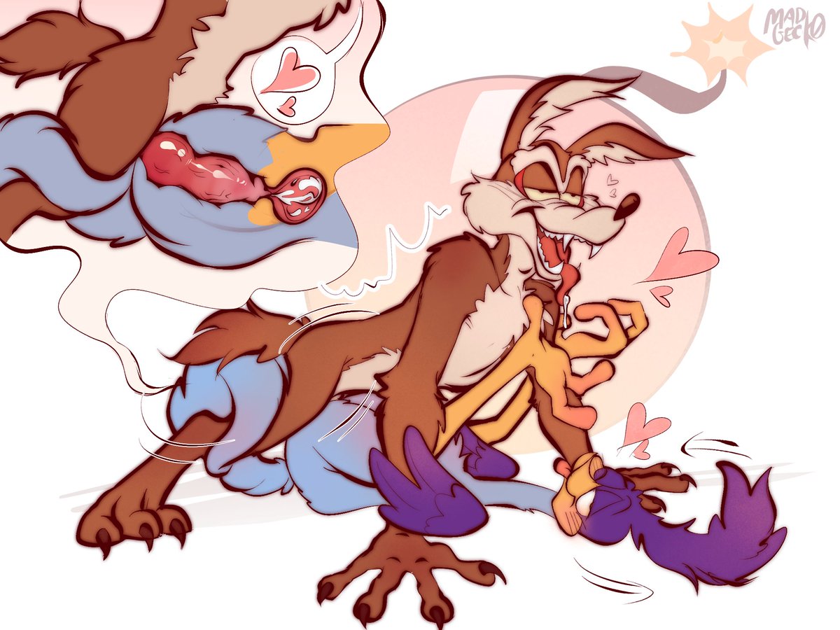 MadGeck0's tweet photo. he loves mpregnating that birdie pussy #wileroad #willerunner #nsfw https://t.co/rcE7pdiqdC