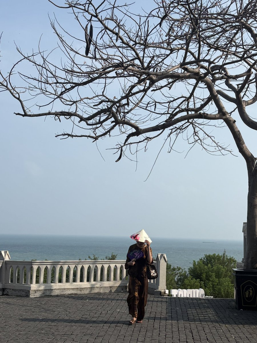Brulee_0907's tweet photo. “A little attention makes life sweeter; freedom makes it worthwhile.”
#lingg #trans #vietnam #vungtau https://t.co/xeoVB1FObB