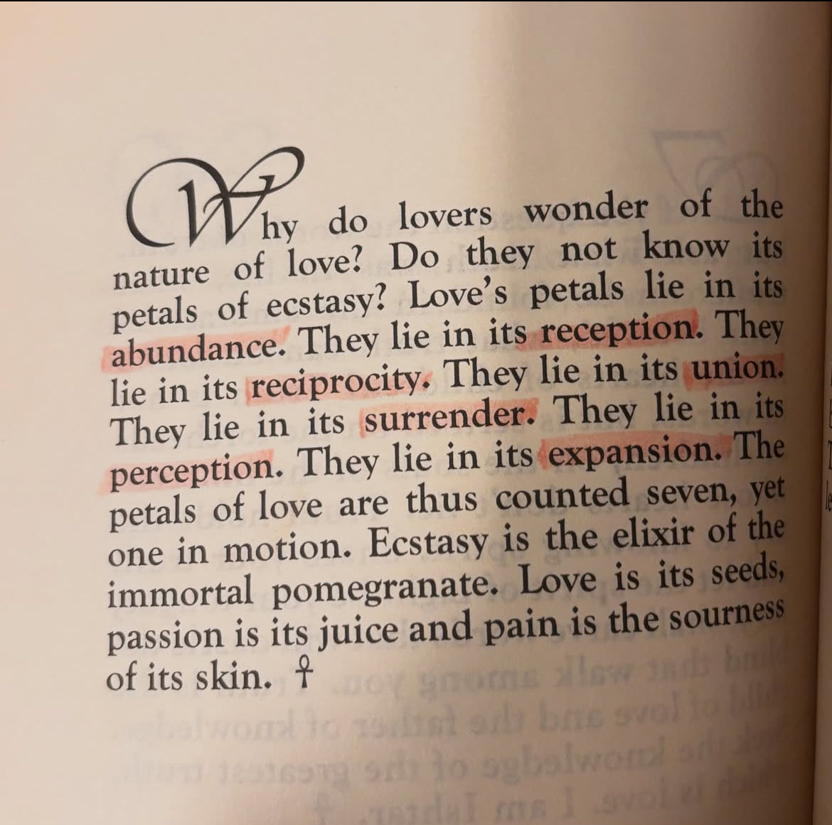 BiteOfYourApple's tweet photo. affection is insurrection https://t.co/PlFe6yyscg