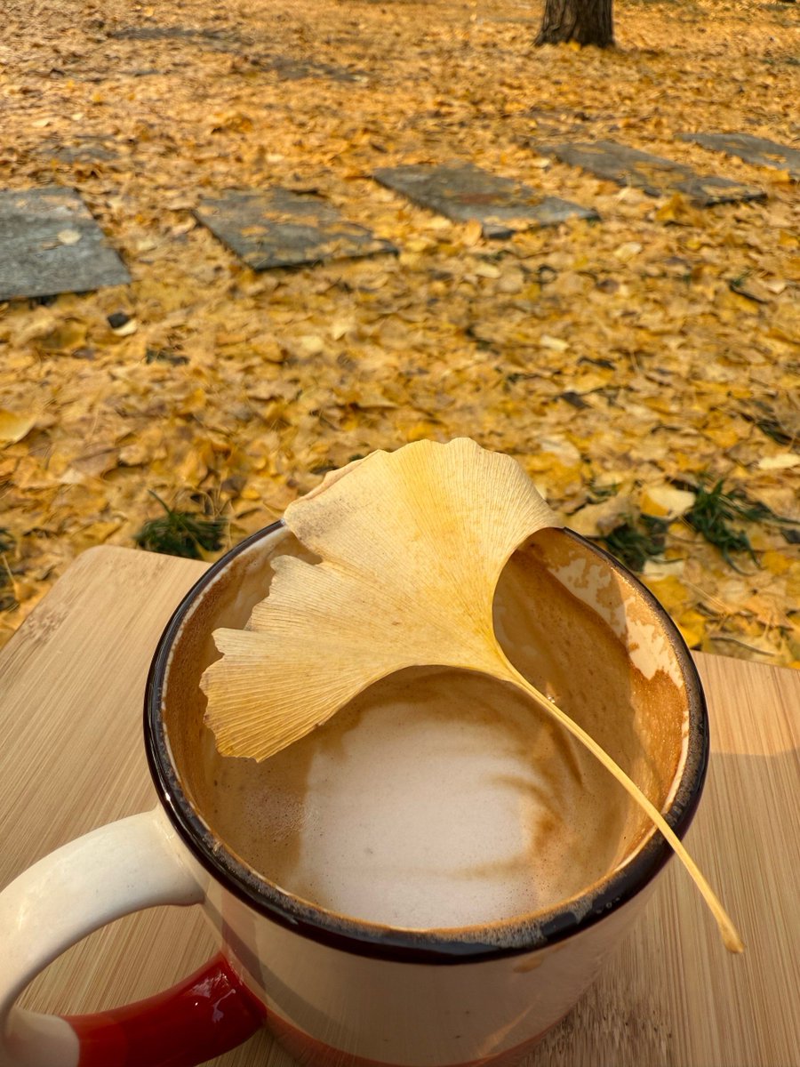 kenn62ethgregor's tweet photo. The first autumn breeze brings crispy maple scent and coffee steam—season’s perfect little joy , https://t.co/CpLCijhVyp