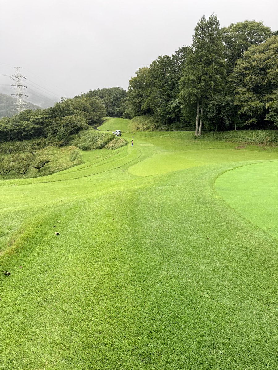 REM870870's tweet photo. 昨日は雨の中ゴルフ場で駆除。やってはみたものの結果は0頭。視界が悪いし音は聞こえないし寒いし、で散々でした。 https://t.co/7RKaWlZbFN