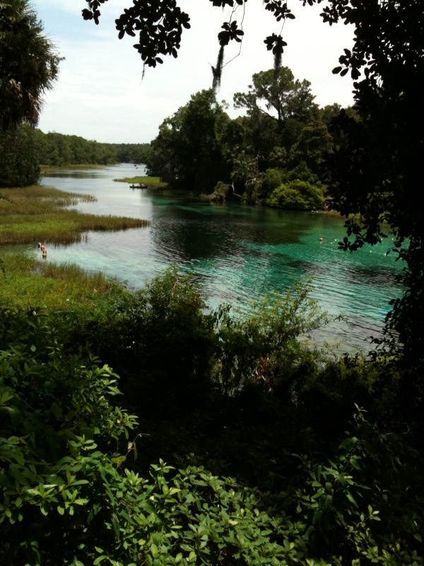 sjgiardini's tweet photo. rainbow river in dunnellon, florida... https://t.co/wrbfwE1n6A