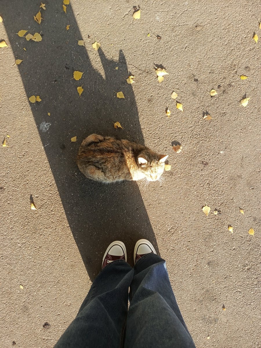 Linodp6's tweet photo. День начался хорошо https://t.co/PduucpNs3m