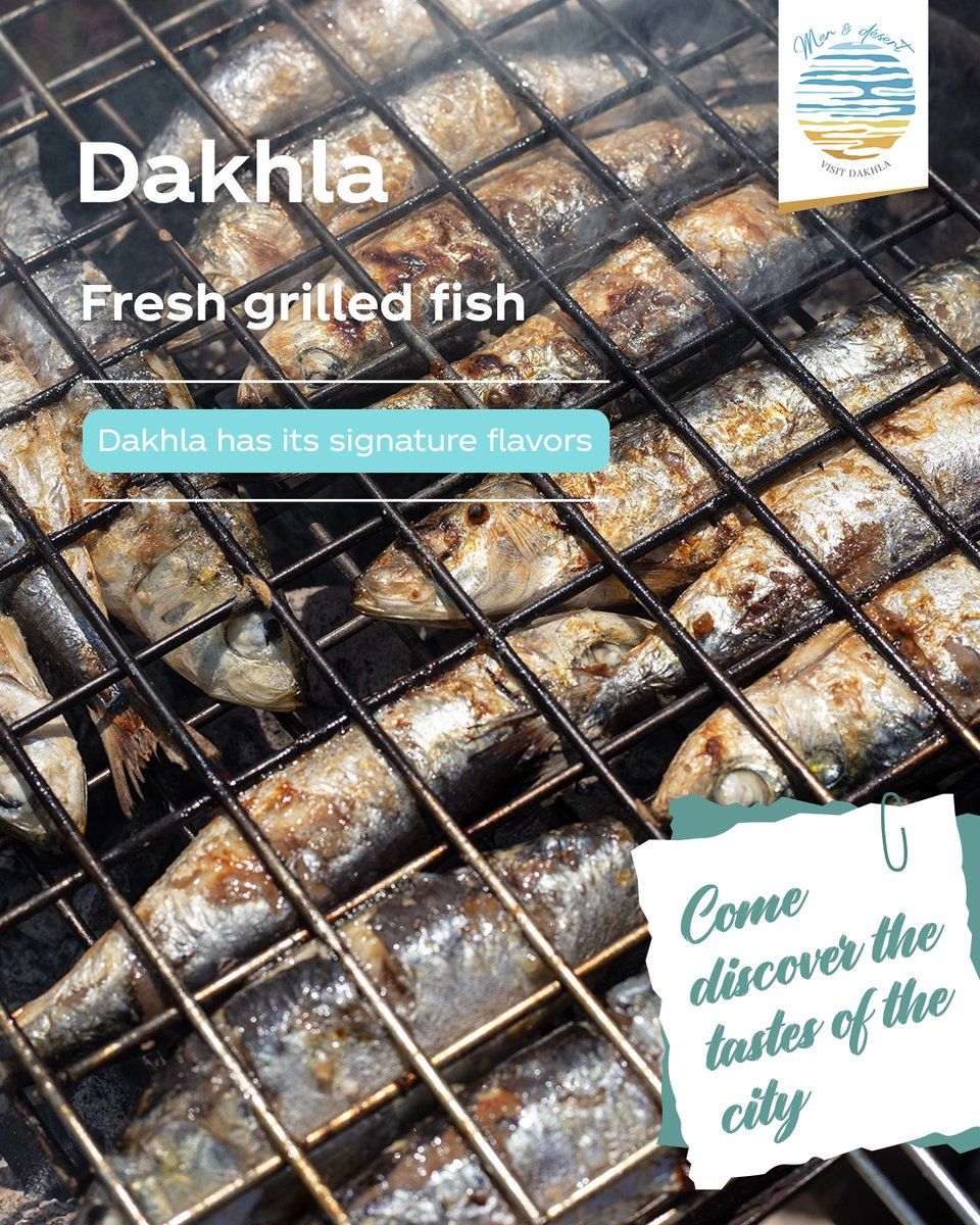 KeraHartleben's tweet photo. Every destination has its signature flavors. Fresh seafood, local specialties and authentic moments around the table make each meal part of the journey. Discover the taste of Dakhla. https://t.co/13o9N9f6PF