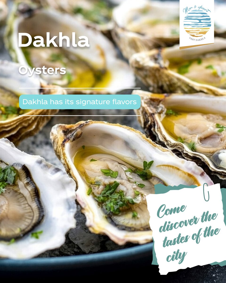 KeraHartleben's tweet photo. Every destination has its signature flavors. Fresh seafood, local specialties and authentic moments around the table make each meal part of the journey. Discover the taste of Dakhla. https://t.co/13o9N9f6PF