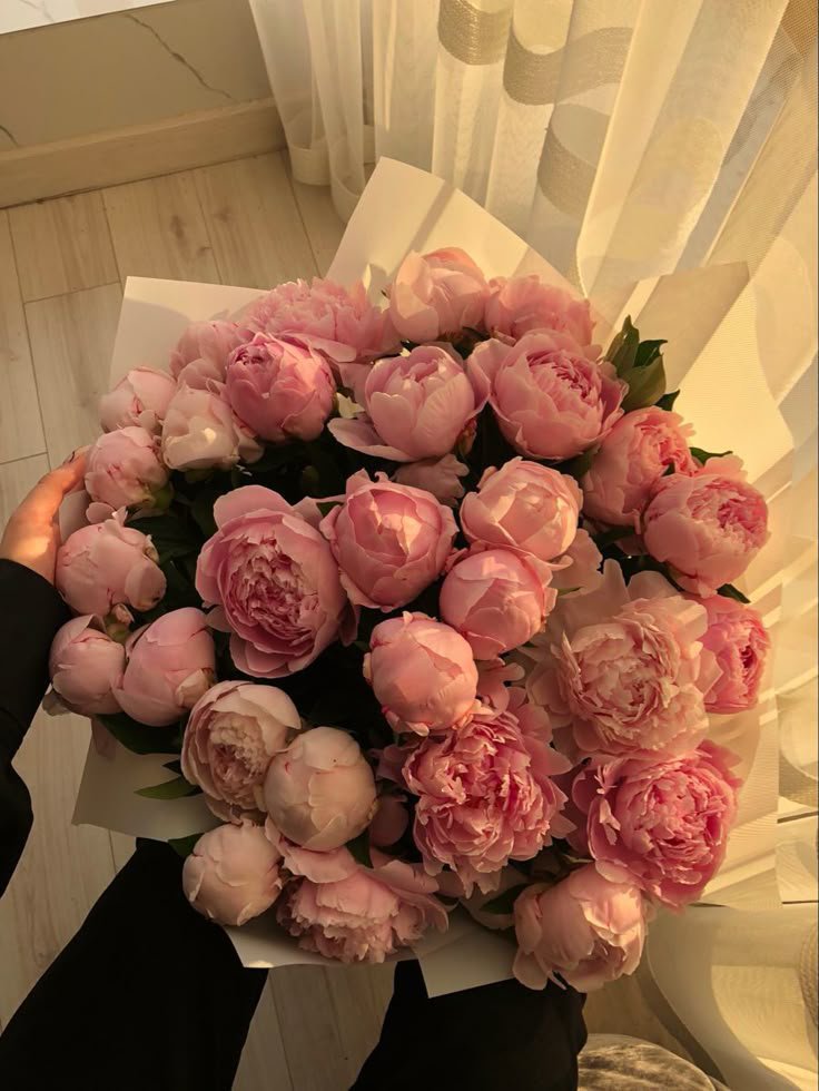 tutututututulip's tweet photo. https://t.co/hWCV6SOsOq