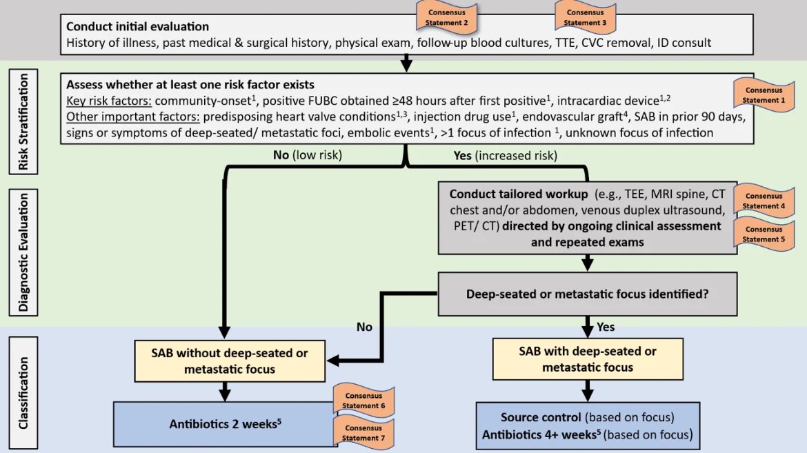 infeccHRUmalaga's tweet photo. IMPORTANTE!!🚨Nuevo CONSENSO expertos🤓@IDSAInfo y @ESCMID #BACTERIEMIA #Saureus🩸🍇 en 👨🏻y👧
🔹Fact. riesgo infección profunda o metást. sépticas🫀🧠🦴
🔹Hemos de control?🩸➡️🩸
🔹Cuando ETT o ETE?🐬
🔹Cuando PET-TC?☢️
🔹Tratamiento ➕o➖ 14 días?💉🗓️
🔗🆓https://t.co/L3ha8mDymI https://t.co/SSl6k3DuIj