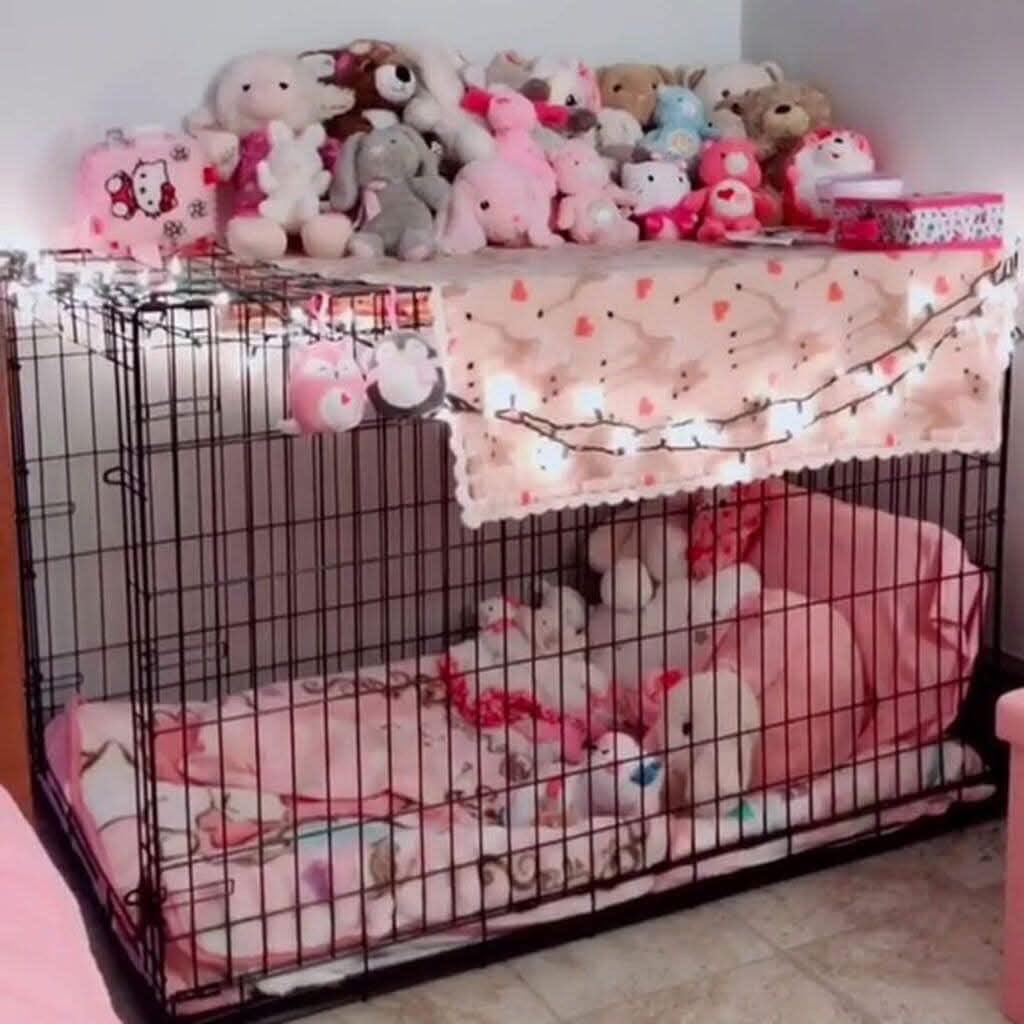 slvttybunny06's tweet photo. a NEED not want #nsfw #puppy #mutt #nsfwtwt #petplay https://t.co/3gJlUyFUEK