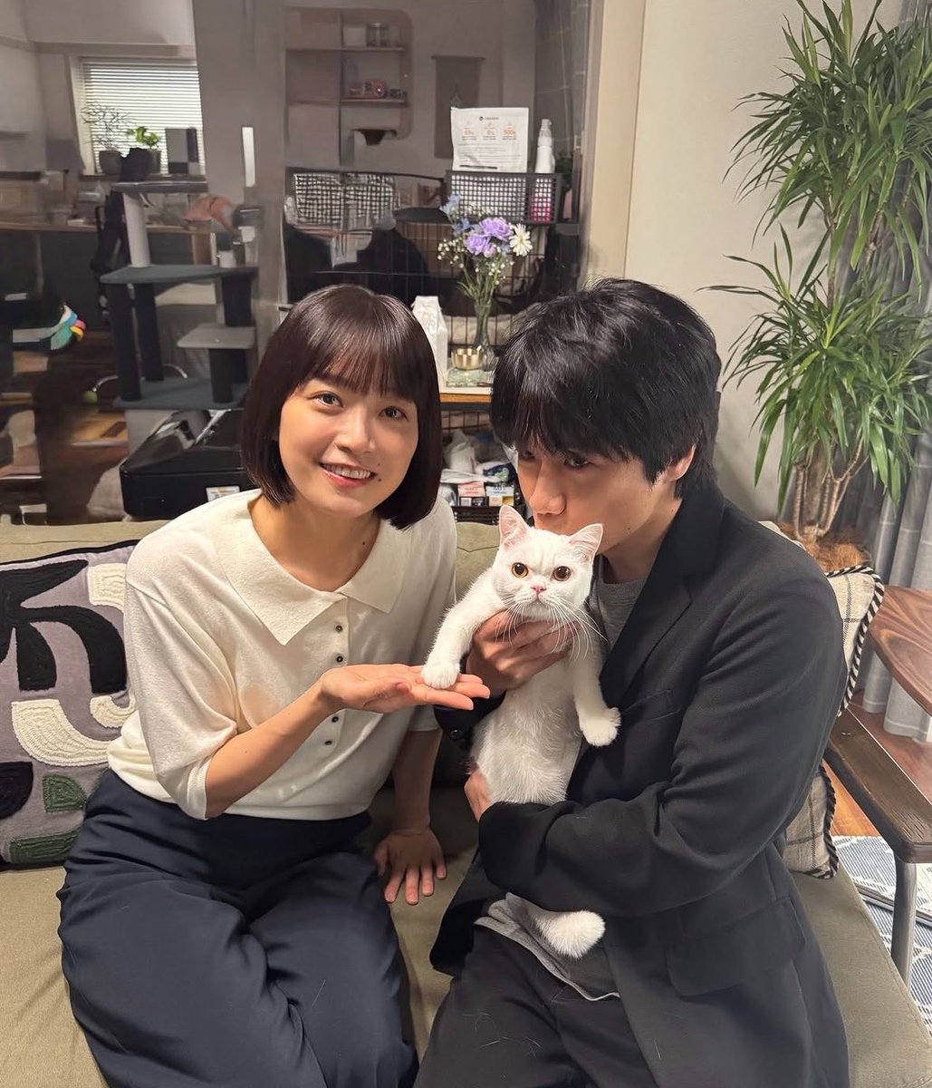 chiyocolate_22's tweet photo. 猫になりたひ
おこめたん https://t.co/4pXopCaGDf