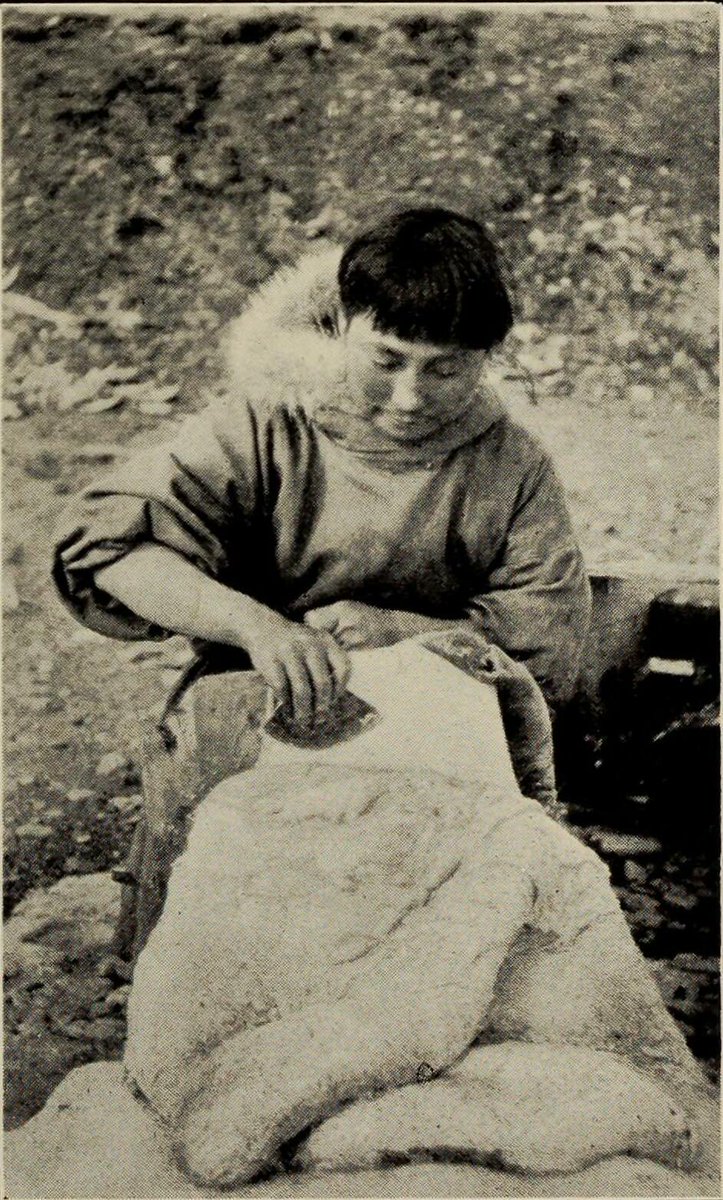 visitlydia's tweet photo. Five People Went to Wrangel Island. Only Ada Came Back.

On Sept. 9, 1921, 23-year-old Ada Blackjack left Alaska for Wrangel Island with four men and a kitten named Vic. She had been hired as the expedition’s seamstress for $50 a month. Her son Bennett was living in an orphanage in Nome, and Ada needed the money to bring him home.

The group expected a relief ship in 1922, but it never reached the island. Supplies dwindled, and Lorne Knight developed scurvy. In January 1923, the other three men took the remaining sled dogs and set out across the sea ice toward Siberia for help.

They were never seen again.

Ada stayed behind with Knight and Vic. By June, Knight could no longer leave his bed. He died on June 23. Unable to move his body, Ada surrounded his sleeping bag with wooden boxes to keep animals away and moved into another tent.

She was now alone on Wrangel Island.

Ada learned to shoot and hunt, reinforced her shelter with driftwood and made a stove from empty kerosene cans. She built a lookout for polar bears and made a pair of moccasins for Bennett.

On Aug. 20, 1923, Ada wrote in her diary that she had opened the “last biscuit box.”

That same day, the rescue ship Donaldson reached Wrangel Island. Ada and Vic were taken aboard. Of the five people who landed there, Ada was the only survivor.

She had taken the job to bring Bennett home. A photograph from 1923 shows them together again.

#History #TrueStory #SurvivalStory #WomensHistory #ForgottenHistory