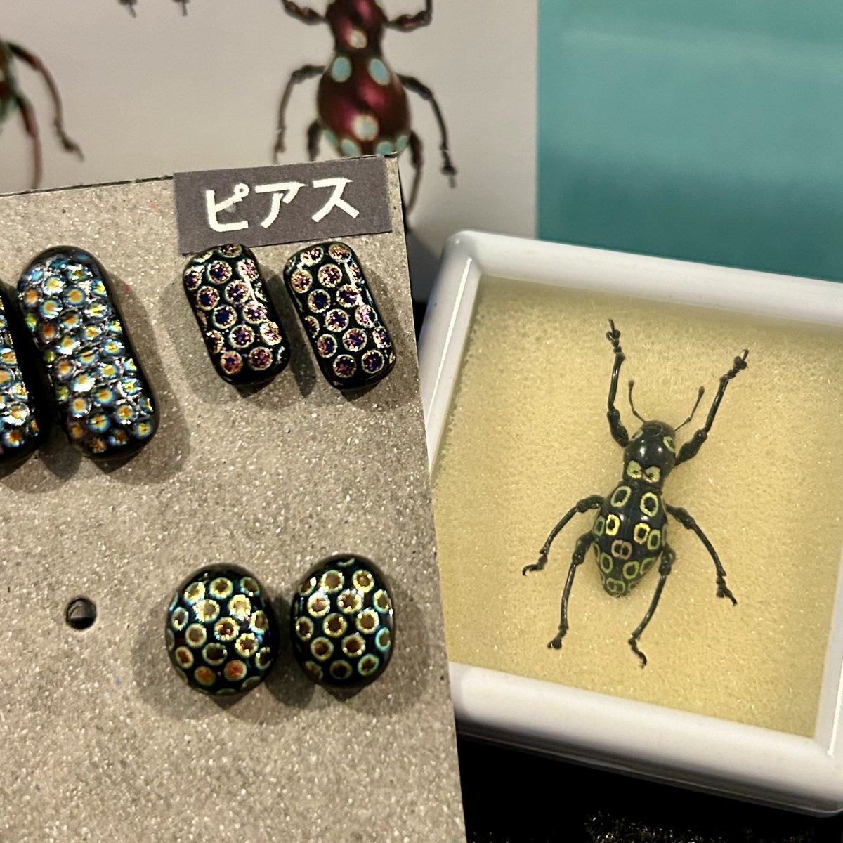 MidoAiai's tweet photo. ガラスを溶かして作ったホウセキゾウムシ風のピアスとイヤリング。金具はSV925。
9月23日、東京都大手町サンケイプラザにて開催される「インセクトフェア」に持って行きます。 https://t.co/A8GSUFaG24