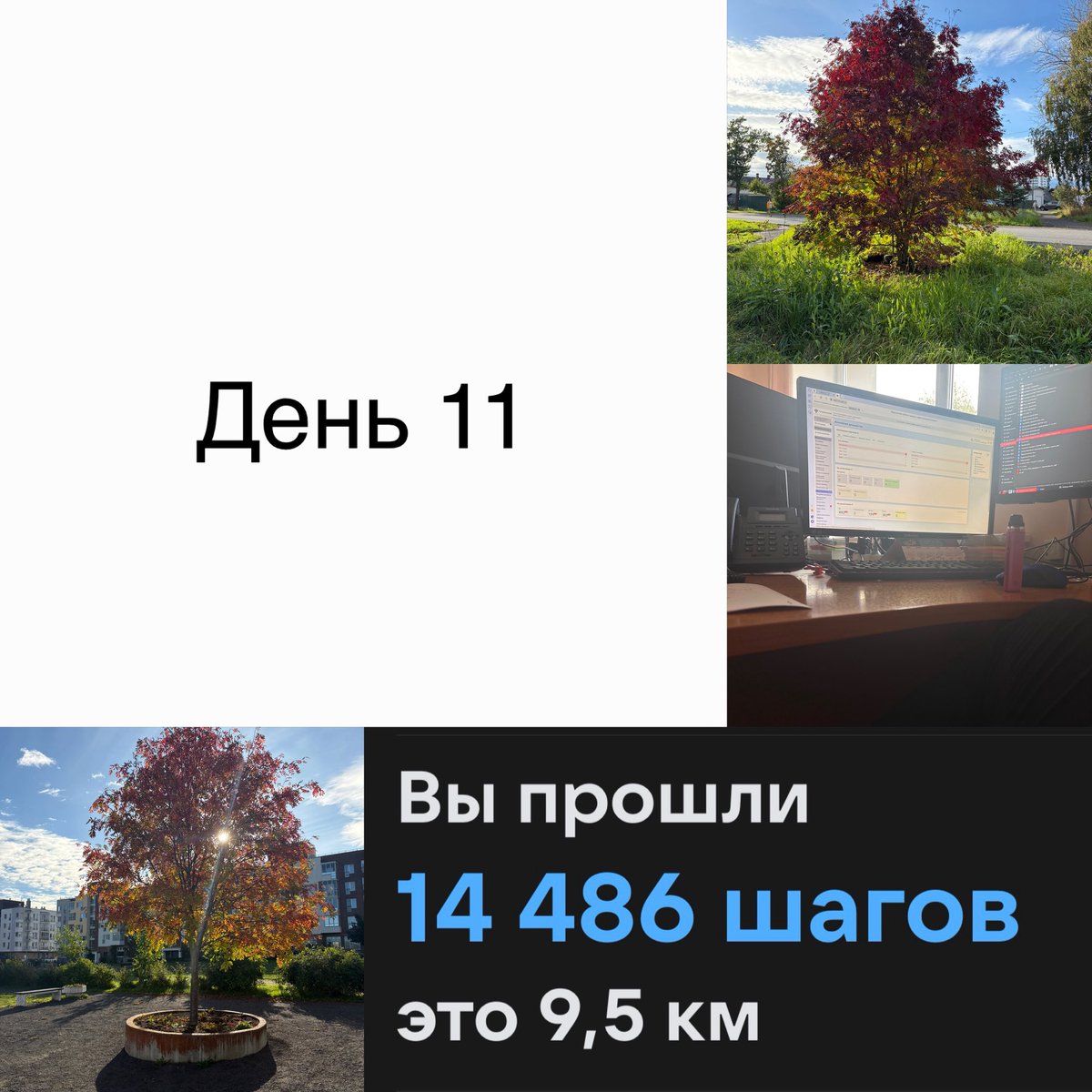 bass1ard's tweet photo. 16.09
Чтобы не сходить с ума решила выйти на работу, помочь девочкам 
Уже начинаю привыкать к одиночеству 
Больничный продолжается, жизнь продолжается 🍀
Еду не фоткала, тк на работе была запара 
#ешь #спи #двигайся https://t.co/2mToZ0xafj