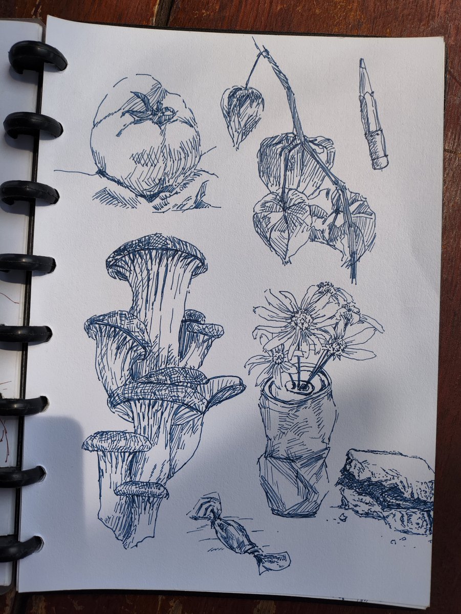 forestn_illust's tweet photo. While I was on break, I fell down the fountain pen rabbit hole, and now I'm really into sketching with them ✍️✨

My first few attempts lmao https://t.co/uehwQguhlj