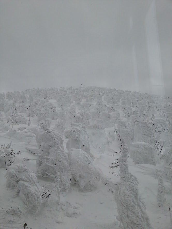rollingseeds_j's tweet photo. 今日の英単語：Ethereal
（優美な、この世のものとは思えない）

蔵王の樹氷。幻想的な美しさに、ただ息を呑むばかりです。
画面には映せない、神秘的な感動をフィジタルで体験する時間も必要ですね。 https://t.co/9B0vYB7hm5