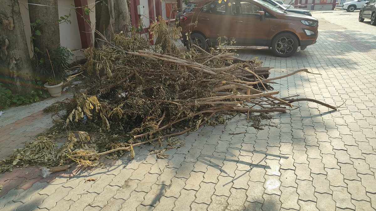 METRajan's tweet photo. @chennaicorp 

Pls remove the cut tree branches which are kept inside the TNHB Towers Flats.

Thanks for trimming the trees based on my earlier complaint. These cut branches are kept inside to be removed.

Loc :TNHB Towers Flats, Shenoy Nagar, Pulla Avenue, Chennai 30.

Ward 101 https://t.co/h2lAMj55S2