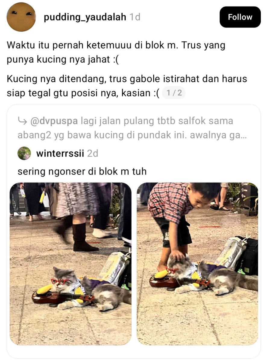 sikucingkuma's tweet photo. kalian udah tau yang rame soal kucing di app sebelah?? 😢💔

jadi namanya Leo. kucing yang sering ikut ngamen pemiliknya di Blok M. nahh beberapa kali orang liat kalo perlakuan pemiliknya itu kasar dan maksa Leo buat ikut ngamen 😔

inget kucing bukan properti hiburan ya gess. orang-orang mungkin liatnya lucu kucingnya, tapi di balik itu ada makhluk hidup yang juga bisa capek apalagi dipaksa terus beraksi saat tubuhnya butuh istirahat 😢