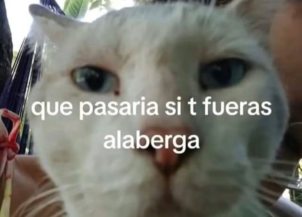 tecito_floral's tweet photo. @ItatOrtega1 no te hubiera dicho https://t.co/xN93cxGNVR