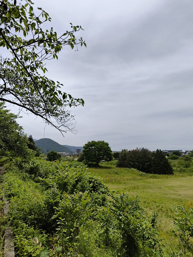 rollingseeds_j's tweet photo. 今日の英単語：Verdant
（新緑の、青々とした）

生命力溢れる若葉の森。深呼吸すると、心が軽くなるようです。
デジタルばかりでなく、五感で感じる遊びを、フィジタルで提案してみませんか。 https://t.co/QJQo6gYJpe