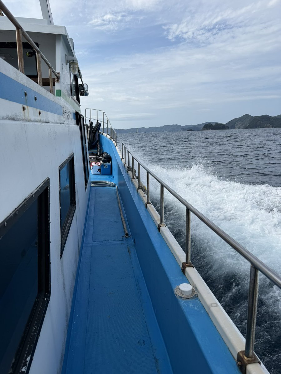 1119Two's tweet photo. 久しぶりに釣りするよん https://t.co/o3J4UxkrG5