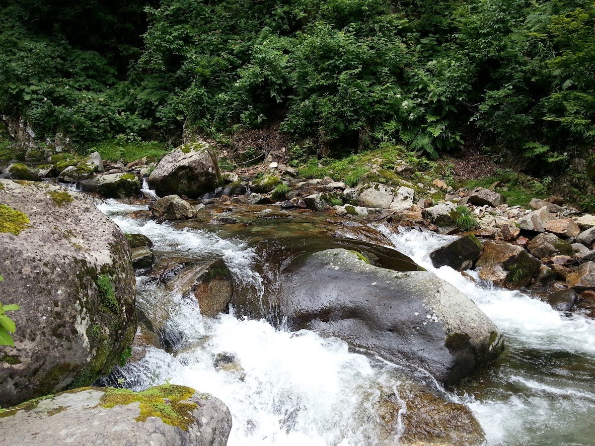 rollingseeds_j's tweet photo. 今日の英単語：Halcyon
（穏やかな、平和な）

川のせせらぎを聞きながら過ごす時間。心が穏やかになりますね。
画面の中の喧騒から離れ、フィジタルで、穏やかな遊びを見つけてみましょう。 https://t.co/XvpWgBo0R3