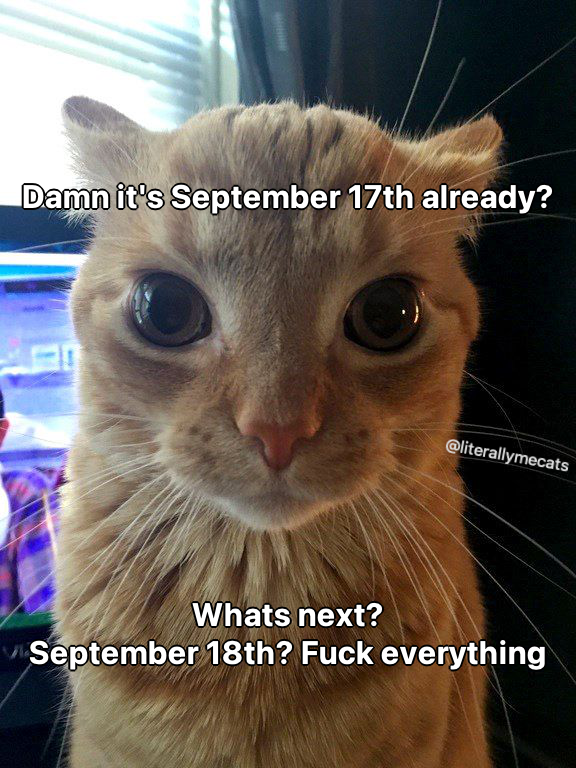 literallymecats's tweet photo. https://t.co/4XVcE8YLtv