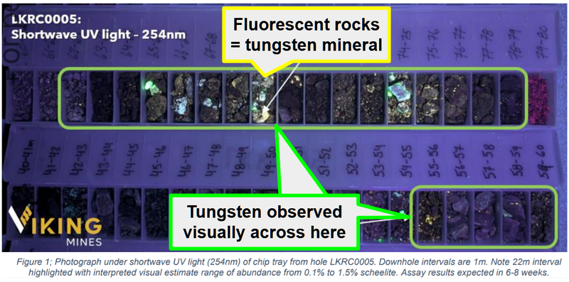 NextInvestors's tweet photo. Our US tungsten Investment @Viking_Mines $VKA (OTC: VKALF) just reported more wide zones of visible tungsten from its maiden drilling in Nevada.

$VKA 's main asset is the Linka project which previously produced tungsten.

~123,000 tonnes at 0.54% tungsten was mined there in the 1940s and 50s.

Mining only stopped when the US government ended its tungsten buying program being happy to rely on the cheaper foreign sources, which is now a serious supply risk.

$VKA is drilling that project right now, the first drilling in over 40 years.

The first assay came back last week at 14m at 0.56% tungsten, a nice hit.

Today $VKA confirmed 20 holes are now complete, with UV logging turning up more wide zones of the tungsten mineral scheelite - the best a combined 22m of visible scheelite over a 24m section from 55m downhole.

Read more here: https://t.co/xMtjnCda3e

Disc: 67,506,668 VKA Shares Held