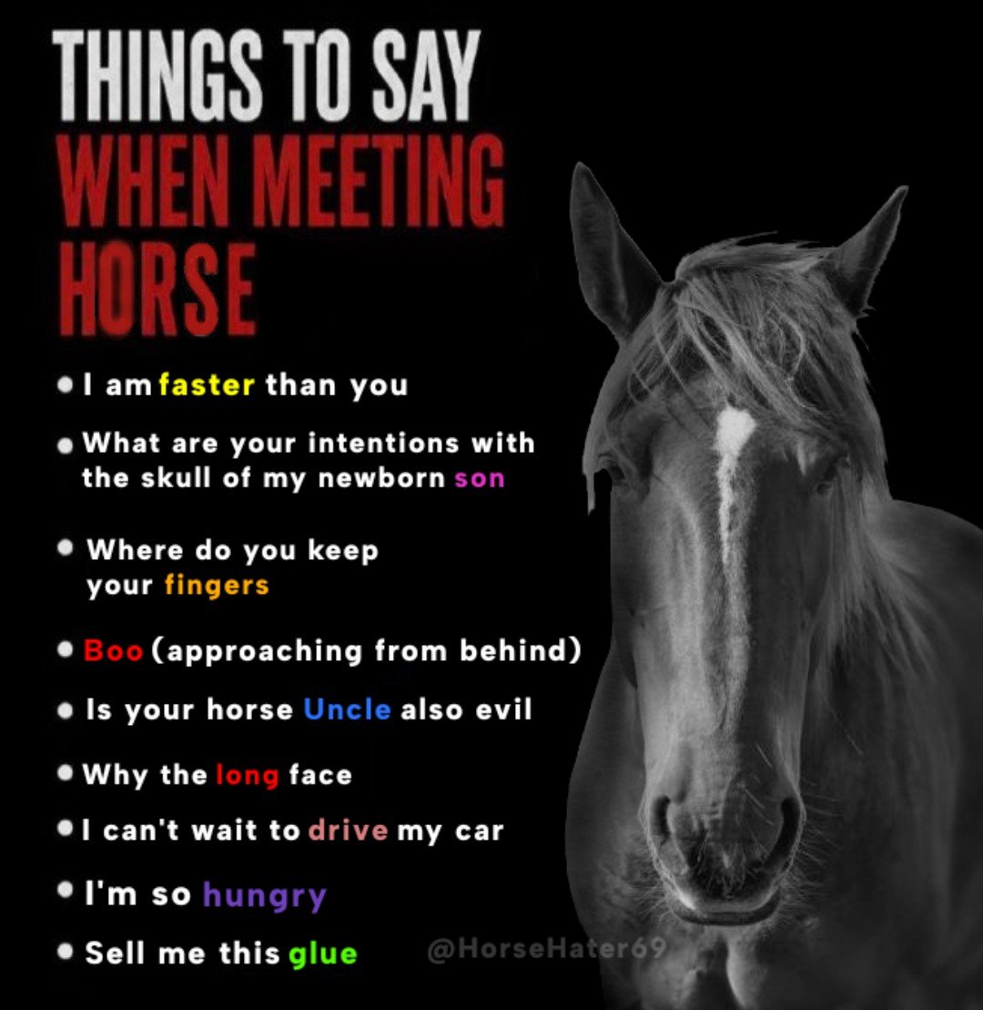 HorseHater69's tweet photo. https://t.co/MdAR4eFUFz