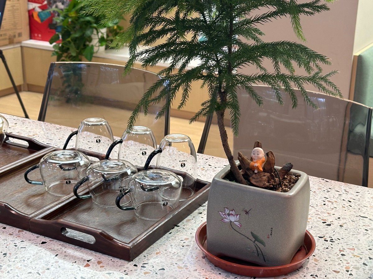 marad189146's tweet photo. Just found out my desk plant at work is actually a weed I grabbed from the parking lot 2 weeks ago. My team brought me a "best plant parent" mug today. Life’s full of accidental wins https://t.co/JzqBv7zr6g