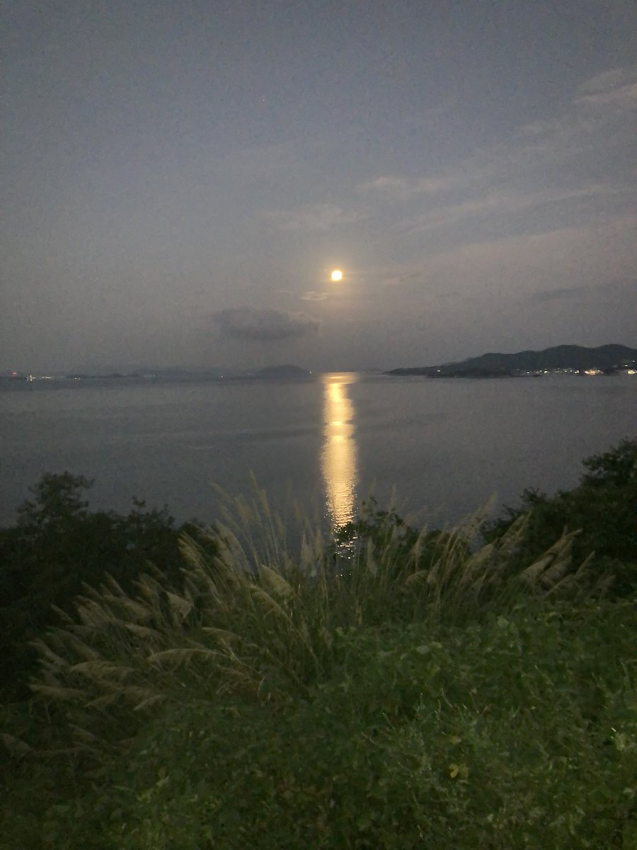 BRAVA_yu's tweet photo. 遠州灘に面する浜松で生まれ育った私も瀬戸内海は本当に衝撃だった。
白波すら立たないこのつややかな水面が海だと、、？
遠くを進むボートの波がこちらの岸まで辿り着くだと？？
殺意を向けてこない海があるなんて知らなかった。
優しい海を近くで見たいから私は小豆島に通ってしまうんだ、、 https://t.co/sALtBBggkA