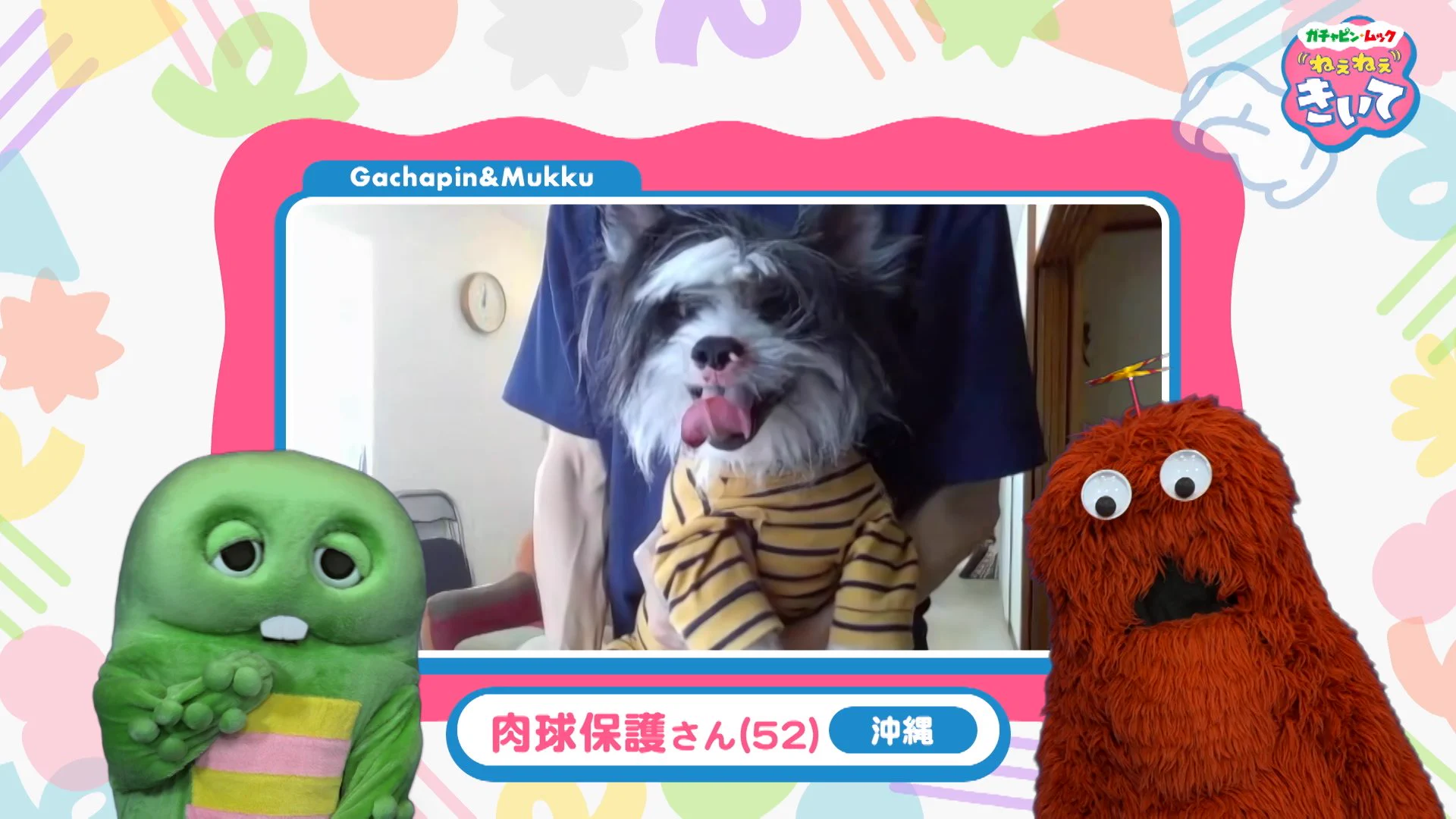 めざましテレビ on X: 