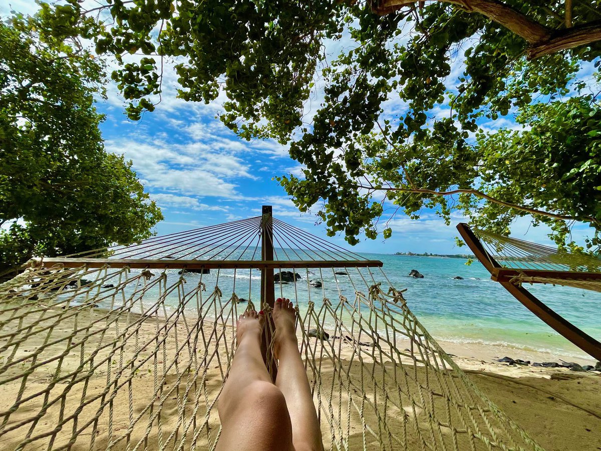 LaurasWorldza's tweet photo. Wishing that we could swap the city life for island life today, inspired by the Mauritian art of living.

https://t.co/R1f4DPiMPF

📍La Plantation d'Albion Club Med, Mauritius 🇲🇺 

#LaurasWorld #Mauritius #ClubMed #ClubMedAlbion #ClubMedExperience https://t.co/vMXTVKwnbm