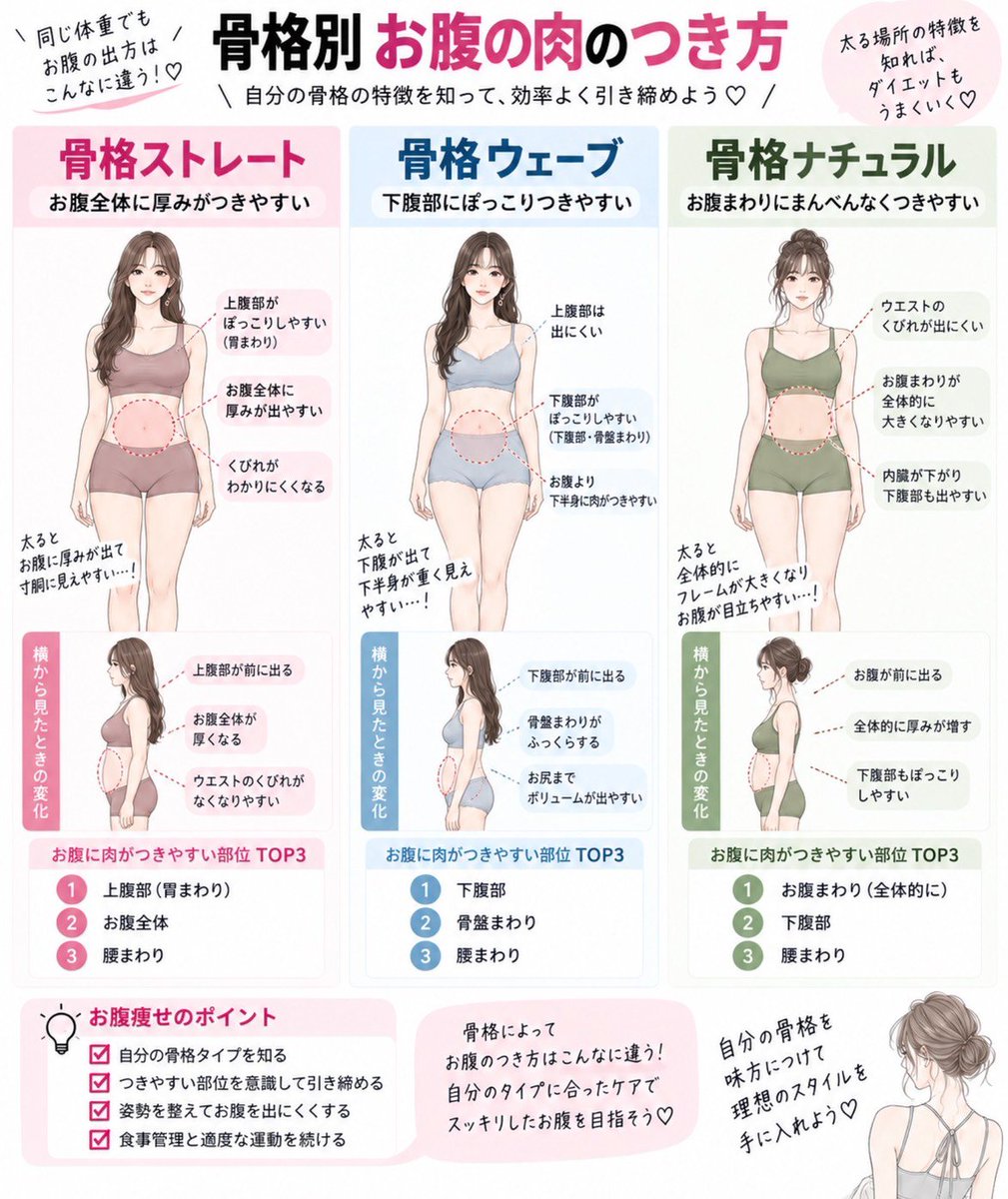 2525dsy's tweet photo. 骨格別、お腹の肉の付き方⬇️ https://t.co/Z2bovVO8xk