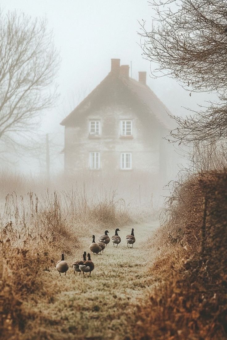 Fazi68407667's tweet photo. Morning 
         Walking https://t.co/wJfhl4Lux7