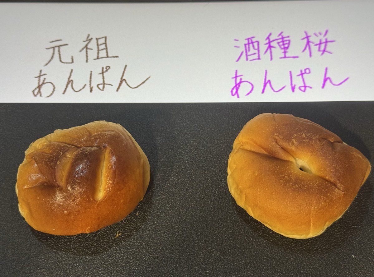 mk2_orz's tweet photo. 明治7年に木村さん親子によって初めて作られたあんぱんと、翌年に明治天皇に献上された桜あんぱん。
鞄の中で形は崩れたけど美味しい٩( 'ω' )و
#見て七宮 https://t.co/YiRt6en6Vj