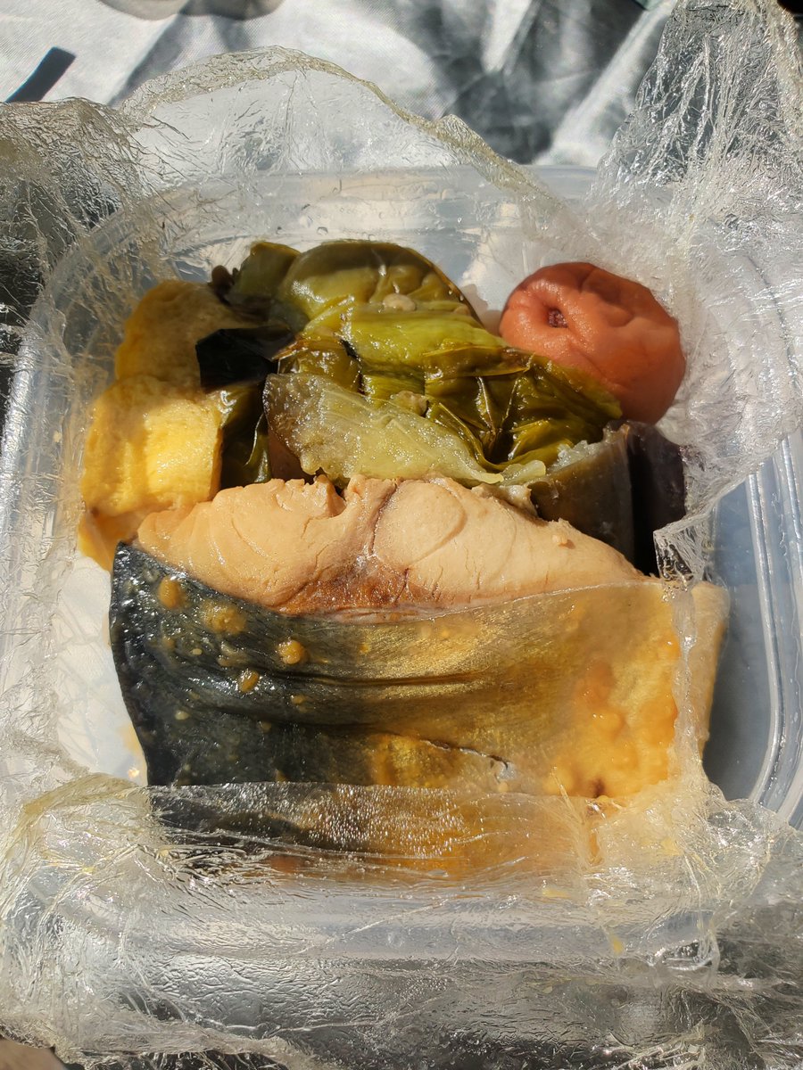 gohan_career's tweet photo. 今日のお弁当
さばの味噌煮
実家から届いた🍆とピーマンのグリル
今回の鯖は美味しい

#お弁当 #ダイエット飯 #タッパー弁当 https://t.co/RAhzIB4mAT