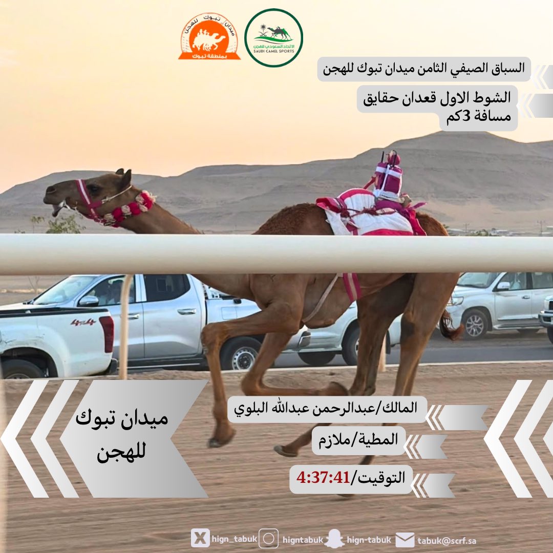 hign_tabuk's tweet photo. 📸 صور المطايا الفائزة بالأشواط الرئيسية في
السـباق  الصيفي الثامن  
🐪| حقايق
📆 الخميس 17 سبتمر2026
6 / 4 / 1448 هـ

#ميدان_تبوك_للهجن https://t.co/p75S7DosoU