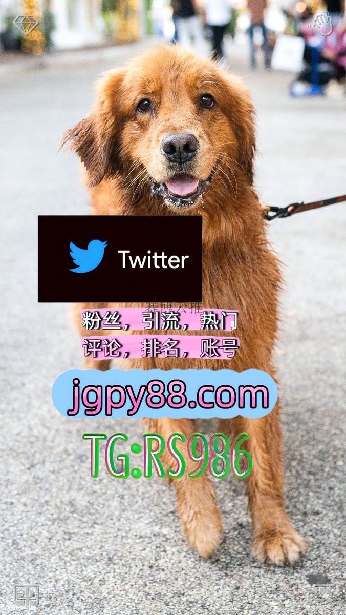 mamekuri2's tweet photo. 愿你一生温暖纯良不舍爱与自由和理想⚖
推特账号购买点赞号 
注册号 粉丝号 馆陶评论截流🎉股票代码🌟辅助工具🔥品牌增长👍
矩阵互动🌞輔助工具🌂北流 世界杯
推特软件贺州 推广😗 https://t.co/1sk7cm3TmT