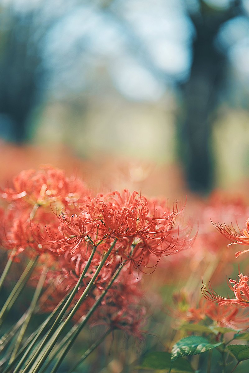 fujifilm_xt's tweet photo. https://t.co/EYtNEx2m6j