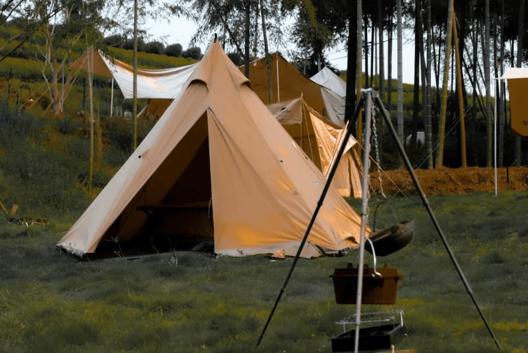 penne608639's tweet photo. Woke up to pine-scented air u0026 birdsong instead of an alarm today. This tiny tent spot in the woods is my favorite escape from the city buzz , https://t.co/tpP5MdhwCX