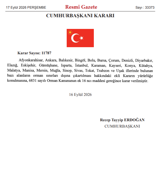 SimonettaVspc's tweet photo. Orman vatandır. Çok üzgünüm, böyle yönetilmeyi hiç hak etmiyoruz. https://t.co/udWMCxkTaA